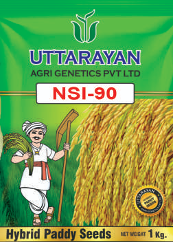 NSI-90 hybrid paddy